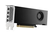 Grafikkarte - Dell RTX 2000 Ada - 16GB GDDR6 RAM - Grafikkarte - DELL-HMX86