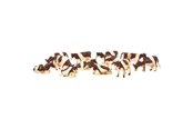 Figuren - Kids Globe Cows Red/Fur 12pcs. 1:32 - 571968