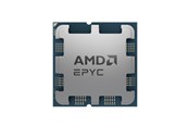 CPU - AMD EPYC 4244P - Tray CPU - 6 Kerne - 3.8 GHz - AMD AM5 - Bulk (ohne Kühler) - 100-000001480