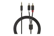 Audio Kabel - Nedis audio cable - 1 m - CABW22200AT10