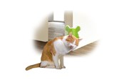 Katzen - AFP All For Paws - Groomer Corner 14*12*9Cm - (781.1020) - 781.1020
