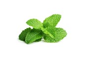 Smart-Home - Click & Grow Click and Grow - Smart Garden Refill 3-pack - Peppermint (SGR22X3) - SGR22X3