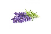 Smart-Home - Click & Grow Click and Grow - Smart Garden Refill 3-pack - Lavender (SGR30X3) - SGR30X3