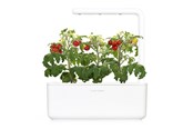 Einrichtung - Click & Grow - Smart Garden 3 Start kit (Color: White) (SGS1UNI) - SGS1UNI