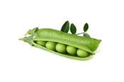 Smart-Home - Click & Grow - Smart Garden Refill 3-pack Dwarf Pea - SGR54X3