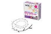 Smart-Home - WiZ Fairy Light 20 m – RGBIC Smart Lichterkette - 929004101222