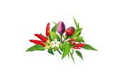 Smart-Home - Click & Grow Click and Grow - Smart Garden Refill 9-pack Chili Pepper Mix - PPMCPX9