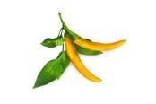 Smart-Home - Click & Grow - Smart Garden Refill 3-pack Yellow Chili Pepper - SGR60X3