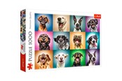 Puzzle - Trefl Puzzle - Funny dog portraits (1000 pieces) 2D Puzzles - TFL10462