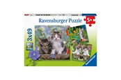Puzzle - Ravensburger Jigsaw puzzle Young Kittens 3x49pcs. Boden - 080465