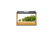Smart-Home - Click & Grow Click and Grow 25 - Black (Salad Greens 54x pack) - CG25BMAINSG