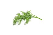 Smart-Home - Click & Grow Click and Grow Smart Garden Refill 3-pack - Dill - SGR49X3