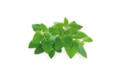 Smart-Home - Click & Grow Click and Grow Smart Garden Refill 3-pack - Catnip - SGR29X3