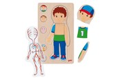 Puzzle - Goki Wooden Layer Puzzle Human Body Boy 29 pcs. - 57361