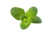 Smart-Home - Click & Grow Click and Grow Smart Garden Refill 3-pack - Apple Mint - SGR79X3