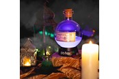 Spielzeug - Fizz Creations Harry Potter Potion Lamp - Large - 5060960743930