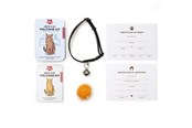 Katzen - Kikkerland - Welcome Cat Tin - CAT02