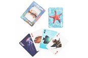 Brettspiele - Kikkerland - Fish 3D Cards - GG241