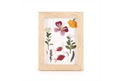 Einrichtung - Kikkerland - HUCKLEBERRY PRESSED FLOWER FRAME (HB02-F) - HB02-F