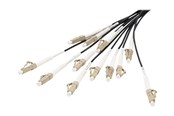 Netzwerk - Kabel - DIGITUS breakout cable - 30 m - black - Schwarz - 30m - DK-2433CU030BK-BBB