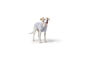 Hunde - Hunter - Dogcoat Birka 45 grey - (203480) - 203480