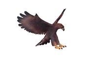 Figuren - Mojo - Wildlife Golden Eagle - 381051
