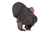 Figuren - Mojo - Farmland Male Turkey - 387285