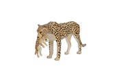 Figuren - Mojo - Wildlife Cheetah Female with Cub - 387167 - 387167