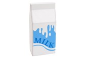 Holzspielzeug - Playwood - Wooden Milk Carton - PW2254A