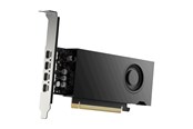 Grafikkarte - PNY RTX 2000 Ada Power Limited Small Box - 16GB GDDR6 RAM - Grafikkarte - VCNRTX2000EADA-PL