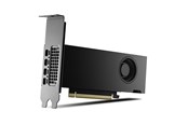 Grafikkarte - PNY RTX 2000 Ada Power Limited Small Box - 16GB GDDR6 RAM - Grafikkarte - VCNRTX2000ADA-PL