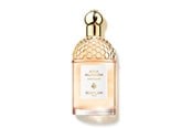 Parfüm und Düfte - Guerlain Pamplelune - 125 ml - 3346470144019