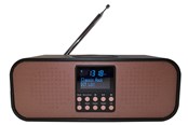 DAB, Netzwerk und Radiowecker - Scansonic PA8001 DAB+ radio with wireless charger - DAB+/FM - schwarz - PA8001