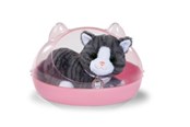 Dolls & Accessories - Baby Born My Cat Cookie with Box - 837580