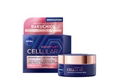 Gesichtspflege - Nivea CELLULAR Expert Lift Nachtpflege 50ml - 4005900599469