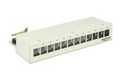 Netzwerkzubehör - DeLOCK Keystone Desktop Patch Panel - 12 Ports - 43335