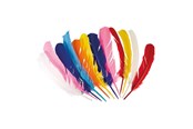 Kostüme - Boland - Indian Feathers 12pcs. - 44135