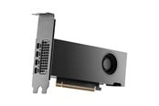 Grafikkarte - NVIDIA RTX PRO 2000 Blackwell Bulk - 16GB GDDR7 RAM - Grafikkarte - 900-5G195-2250-000