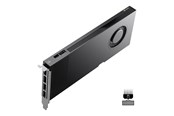 Grafikkarte - NVIDIA RTX PRO 4000 Blackwell Retail - 24GB GDDR7 RAM - Grafikkarte - 900-5G147-2570-000