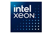 CPU - Intel Xeon 6730P / 2 GHz processor - OEM CPU - 32 Kerne - 2 GHz - Intel LGA4710 - Bulk (ohne Kühler) - PK8072006270900