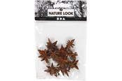 Kunst & Handwerk Ausstattung - Creativ Company - Star Anise 10 pcs. - 50244