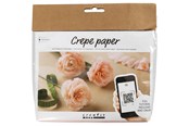 Kunst & Handwerk Ausstattung - Creativ Company - Mini Craft Set Crepe Paper Carnations - 977473