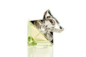 Parfüm und Düfte - Britney Spears Believe Eau de Parfum 30 ml - 719346117708