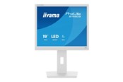 Bildschirm - 19" iiyama B1980S-W1 - 1280x1024 - 75Hz - TN - B1980S-W1