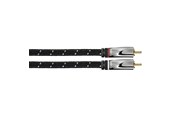 Audio Kabel - AVINITY 2m 2xRCA audio cable - 00107793