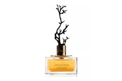Parfüm und Düfte - Aurora Deciduous Autumn Eau De Parfum For Women 100 ml - 6290360540269