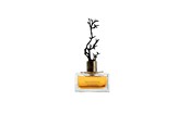 Parfüm und Düfte - Aurora Deciduous Summer Eau De Parfum For Women 100 ml - 6290360540283