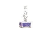 Parfüm und Düfte - Aurora Deciduous Winter Eau De Parfum For Women 100 ml - 6290360540290