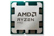 CPU - AMD Ryzen 5 Pro 8500G / 3.5 GHz processor - OEM CPU - 6 Kerne - 3.5 GHz - AMD AM5 - Bulk (ohne Kühler) - 100-000001183