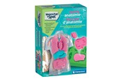 Interaktives Spielzeug (Ardunio und ähnliche) - Clementoni Science & Play - Squishy Anatomy - 56605